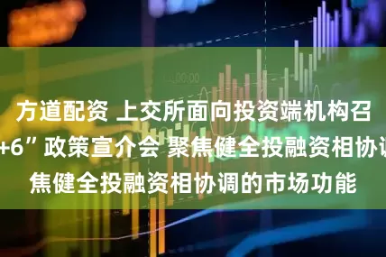 方道配资 上交所面向投资端机构召开科创板“1+6”政策宣介会 聚焦健全投融资相协调的市场功能