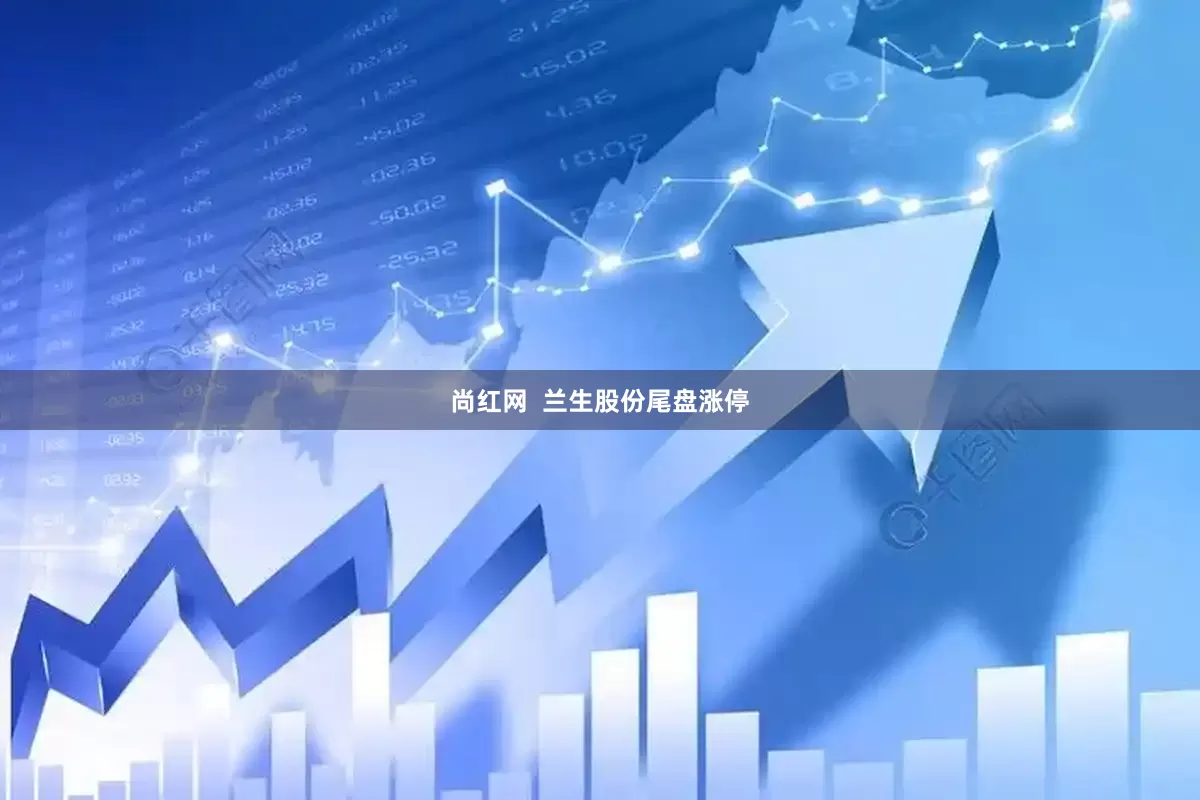 尚红网  兰生股份尾盘涨停