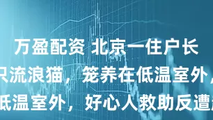 万盈配资 北京一住户长期禁锢12只流浪猫，笼养在低温室外，好心人救助反遭起诉？